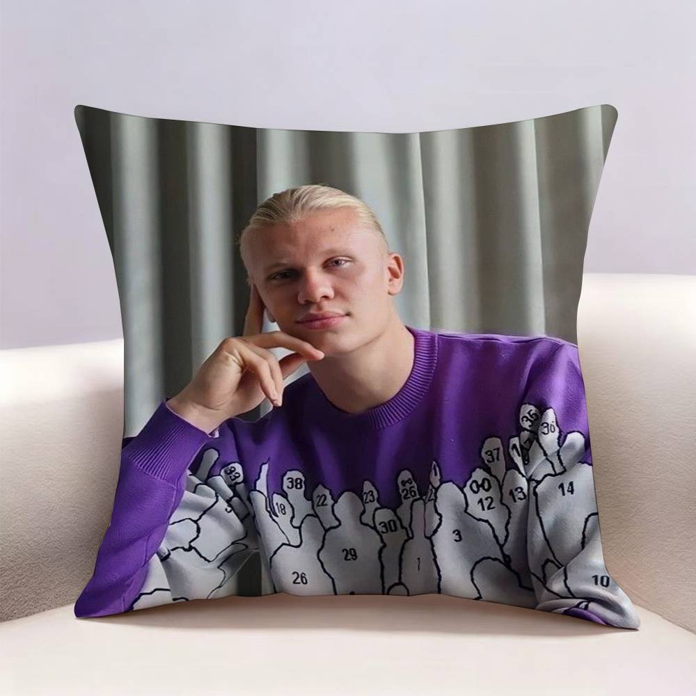 Housse de coussin à impression - Recliner Sofa Cover avis et prix