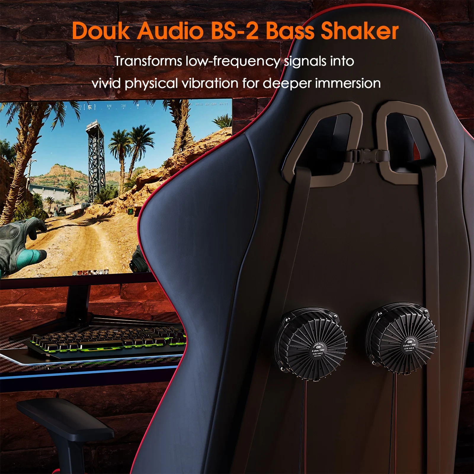 Douk Audio BS-2 30W 4Ω Bass Sh - Home Cinema Gaming avis et prix